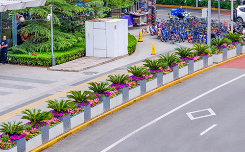 道路花箱图片