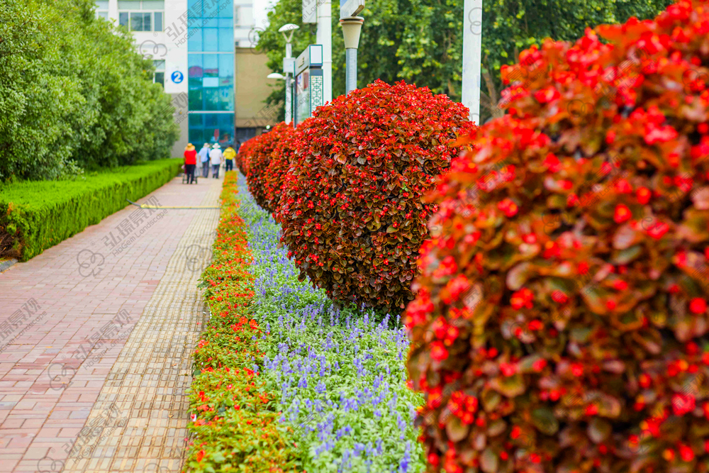 济宁市城市园林绿化布局规划项目(图4)